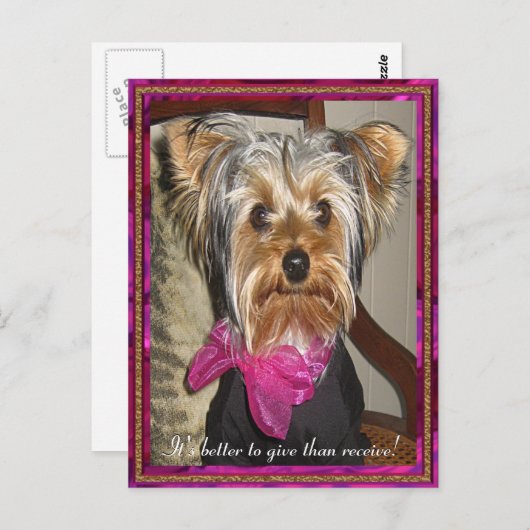 Das perfekte Geschenk Postkarte (Vorne/Hinten)