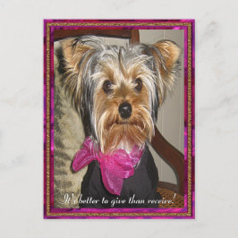 Das perfekte Geschenk Postkarte