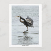 Das perfekte Landing Blue Heron Geschenke Postkarte (Vorderseite)