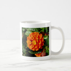 Das perfekte Orangenblut Kaffeetasse