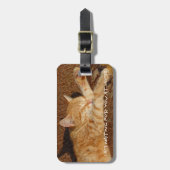 Das personalisierte Foto des Haustieres Gepäckanhänger (Vorderseite vertikal)