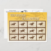 Das Pferd in Bewegung Postkarte (Vorne/Hinten)