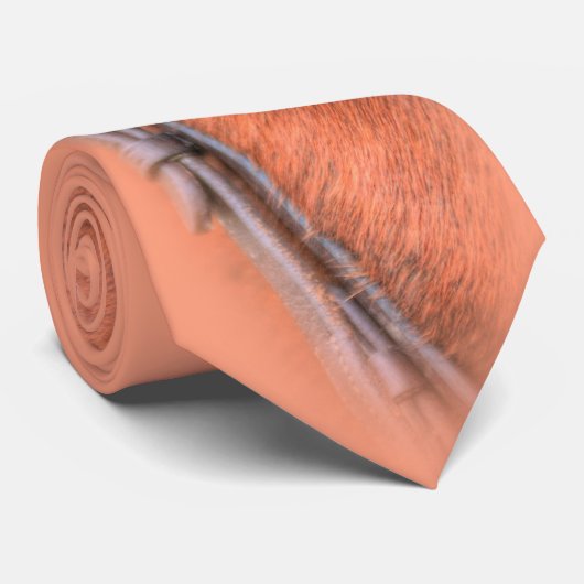 Das Pferd Krawatte (Gerollt)