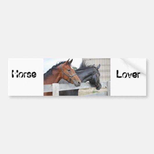 Das Pferd liebt Autoaufkleber (Vorne)