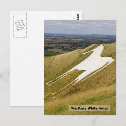 Das Pferd Postkarte (Vorne/Hinten)