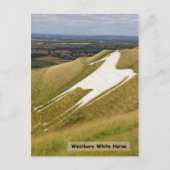 Das Pferd Postkarte (Vorderseite)