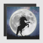 Das Pferd und der weiße Mond Magnetkarte (Vorne/Hinten)