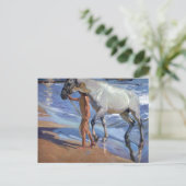 Das Pferd waschen Postkarte (Stehend Vorderseite)