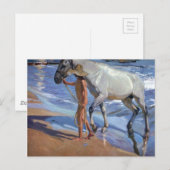 Das Pferd waschen Postkarte (Vorne/Hinten)