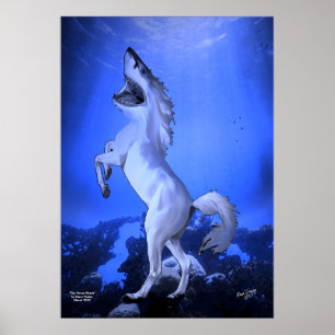 Das Pferdehaifisch-Plakat Poster