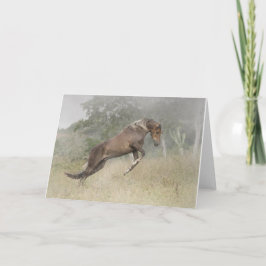 Das Pferdespringen Karte