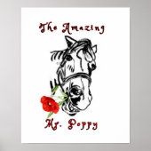 DAS PHANTASTISCHE HERR MOHN POSTER (Vorne)