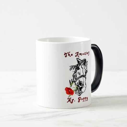 DAS PHANTASTISCHE HERR MOHN VERWANDLUNGSTASSE (VorderseiteRechts)