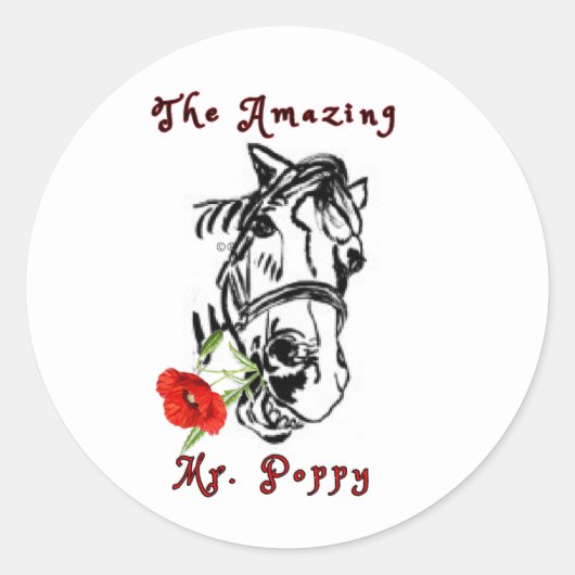 das phantastische MR MOHN Runder Aufkleber (Vorderseite)