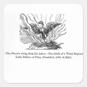 Das Phoenix, das von seiner Asche steigt Quadratischer Aufkleber