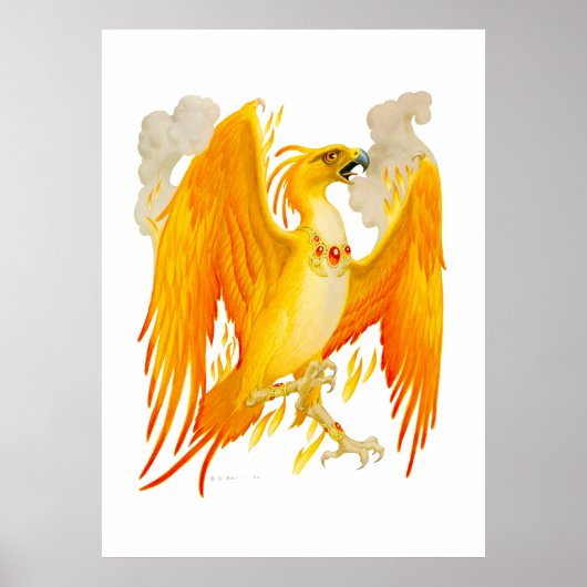 Das Phoenix-Poster Poster (Vorne)