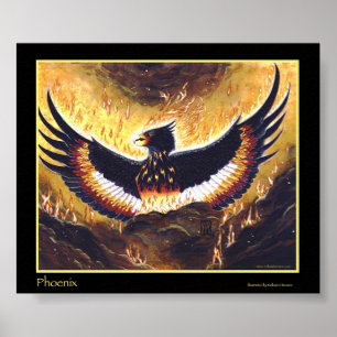 Das Phoenix-Steigen Poster