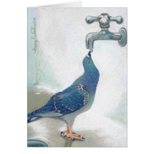 Das Pidgeon des Franks