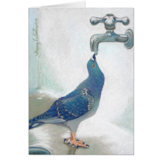 Das Pidgeon des Franks