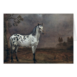 Das piebald-Pferd, 1653