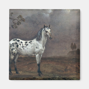 Das piebald-Pferd, 1653 Magnet