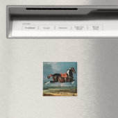 Das piebaldgrüne Pferd "Cehero" Magnet (In Situ (Geschirrspüler))