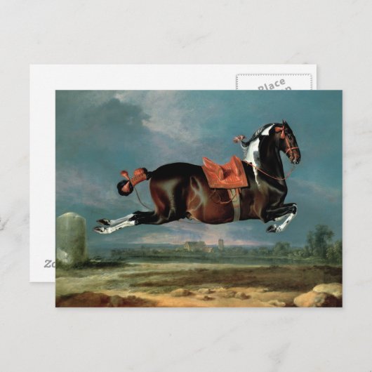 Das piebaldgrüne Pferd "Cehero" Postkarte (Vorne/Hinten)