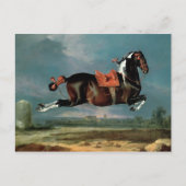 Das piebaldgrüne Pferd "Cehero" Postkarte (Vorderseite)