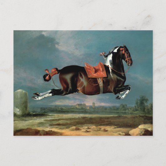 Das piebaldgrüne Pferd "Cehero" Postkarte (Vorderseite)