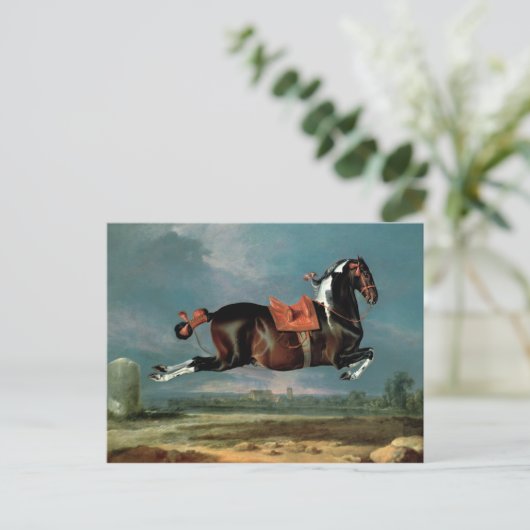 Das piebaldgrüne Pferd "Cehero" Postkarte (Stehend Vorderseite)