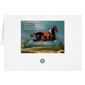 Das Piebaldpferd "Cehero"-Aufzucht (Rückseite Horizontal)