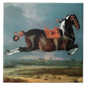 Das Piebaldpferd "Cehero"-Aufzucht Fliese (Vorderseite)