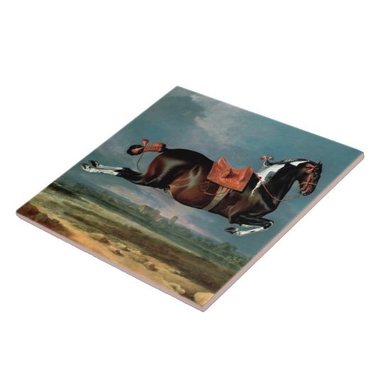 Das Piebaldpferd "Cehero"-Aufzucht Fliese (Seite)