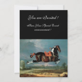 Das Piebaldpferd "Cehero"-Aufzuchtmonogramm Einladung (Rückseite)