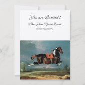 Das Piebaldpferd "Cehero"-Aufzuchtmonogramm Einladung (Rückseite)