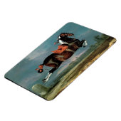 Das Piebaldpferd "Cehero"-Aufzuchtmonogramm Magnet (Linke Seite)