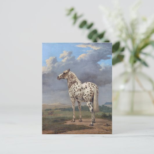 Das Piebaldpferd Postkarte (Stehend Vorderseite)