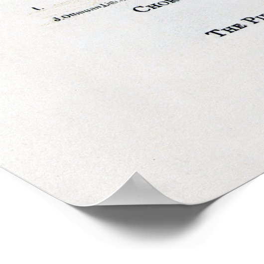 Das Pirate Publisher Center in Puck 1886 Poster (Ecke)