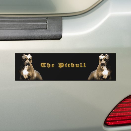 Das PITbull Autoaufkleber (Auf Auto)