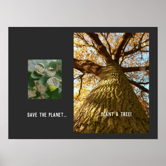 Das Planet retten Poster (Vorne)