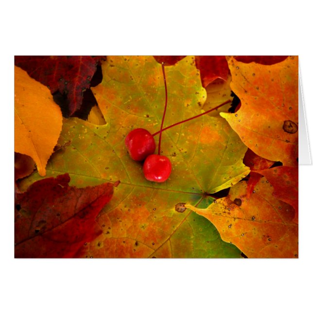 Das Portal II des Schmirgels (Vorderseite (Horizontal))