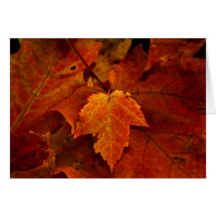 Das Portal III des Schmirgels