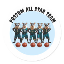 Das Possum All Star Basketball Team