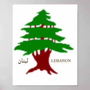 Das Poster der alten Zedernhälfte des Libanon