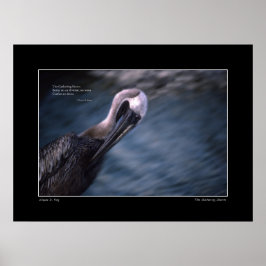 Das Poster der Ansammlung Storm Haiku