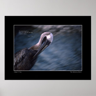 Das Poster der Ansammlung Storm Haiku