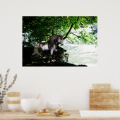 Das Poster der großen Flussteilung (Küche)