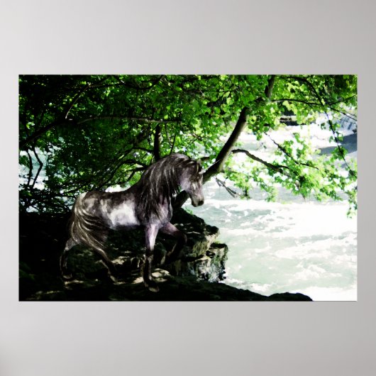 Das Poster der großen Flussteilung (Vorne)