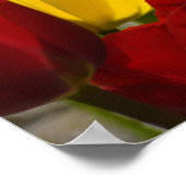 Das Poster der Krankenschwestern in der Woche schä (Ecke)