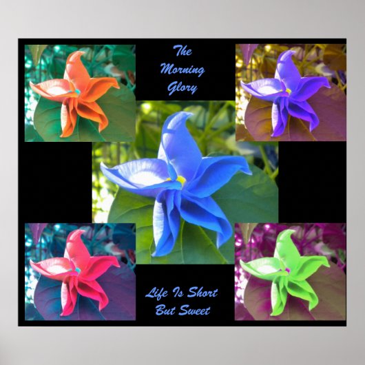 Das Poster der Morgenherrschaft (Vorne)